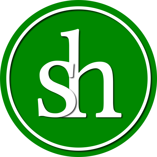 Heiko Schnitzler Logo